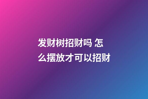 发财树招财吗 怎么摆放才可以招财